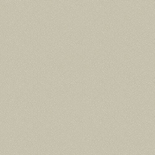 Pebble 106/2019