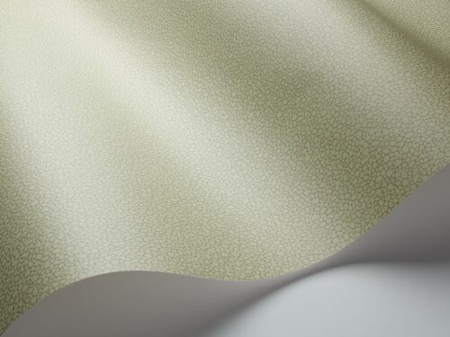 Rollo en detalle Pebble 106/2026