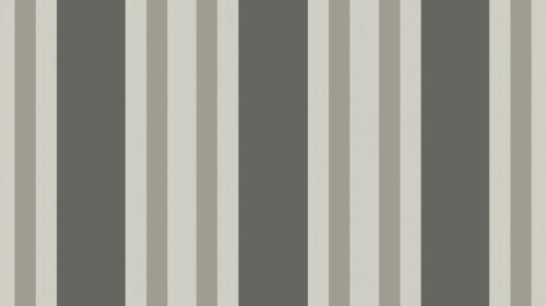 Polo Stripe 110/1001
