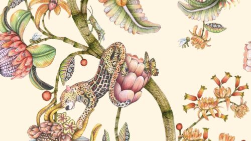 Protea Panthera 129/6021