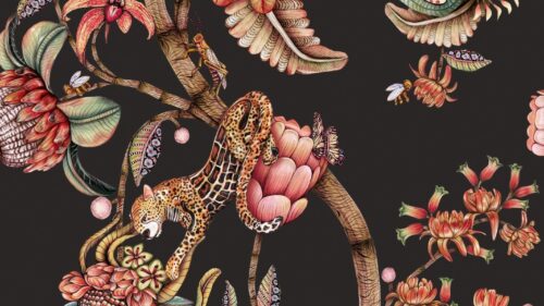 Protea Panthera 129/6023