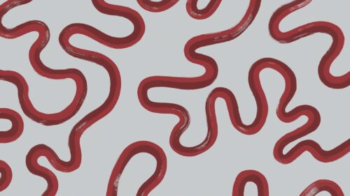 Rainforest Squiggle 130/8031