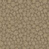 Savanna Shell 119/4020