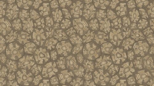 Savanna Shell 119/4020