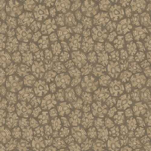 Savanna Shell 119/4020