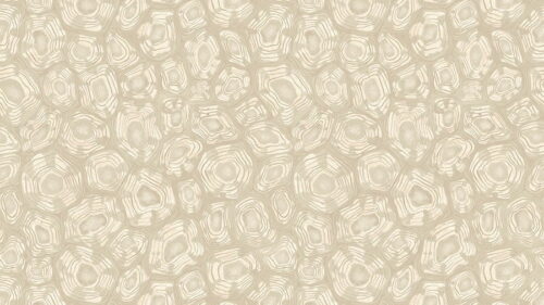 Savanna Shell 119/4021