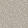 Savanna Shell 119/4022