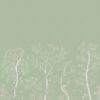 Seasonal Woods 120/6021