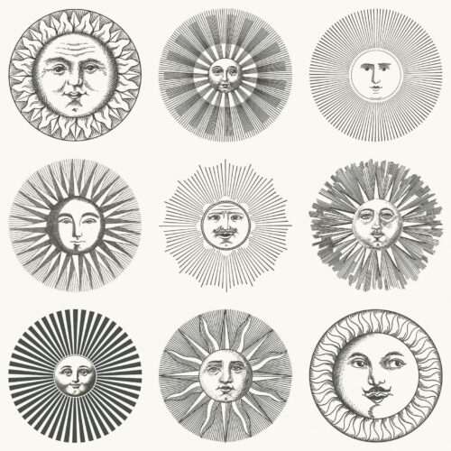 Soli 123/1001