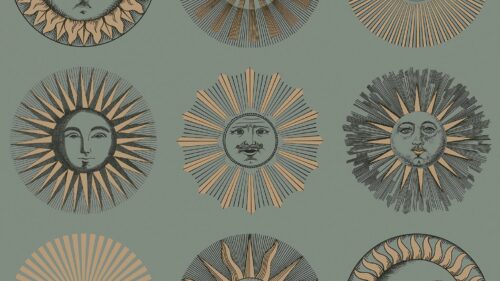 Soli 123/1003
