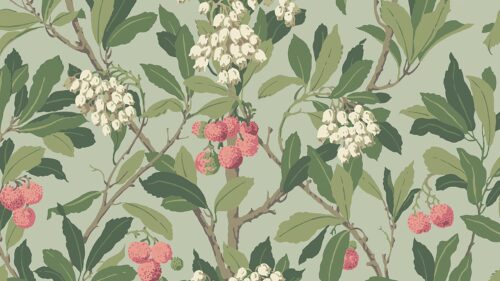 Strawberry Tree 100/10048