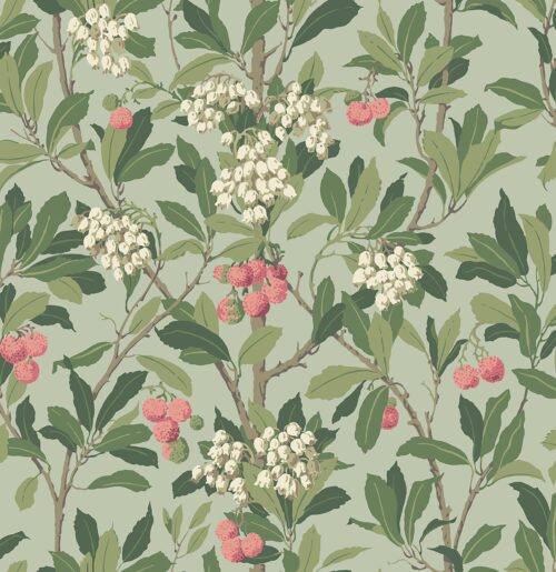 Strawberry Tree 100/10048