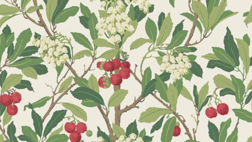 Strawberry Tree 100/10049