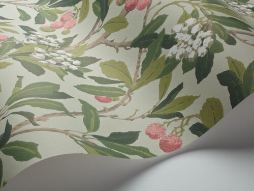 Rollo en detalle Strawberry Tree 100/10048