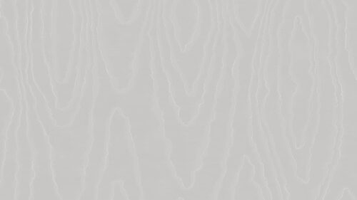 Watered Silk 106/1004